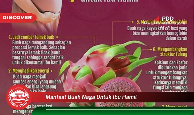 manfaat buah naga untuk ibu hamil