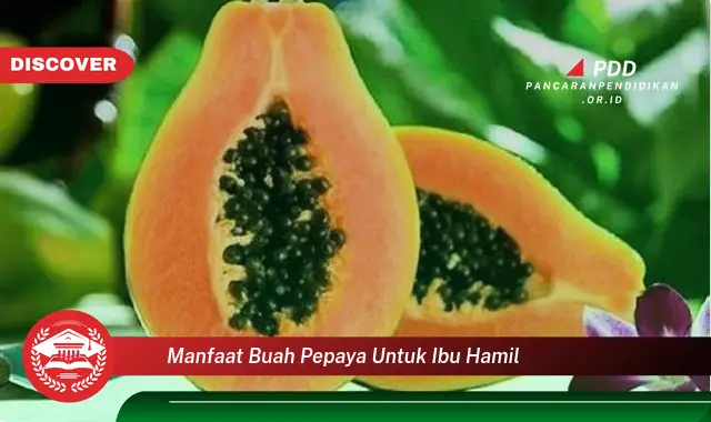 manfaat buah pepaya untuk ibu hamil