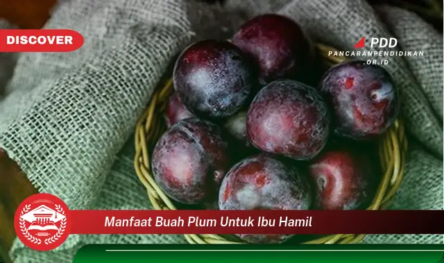 manfaat buah plum untuk ibu hamil