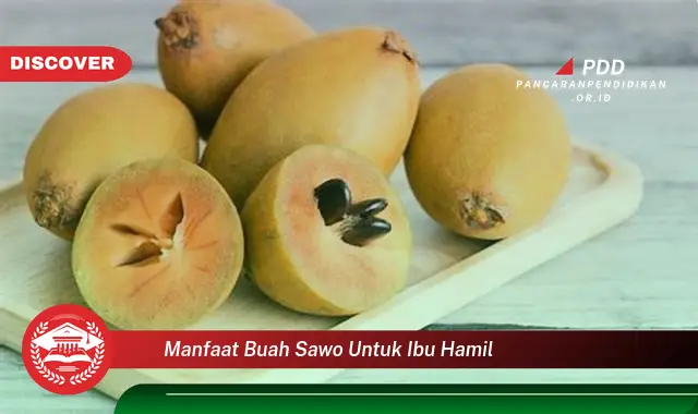 manfaat buah sawo untuk ibu hamil