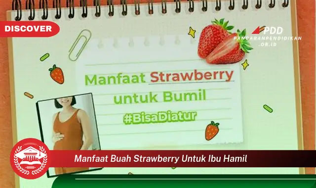 manfaat buah strawberry untuk ibu hamil