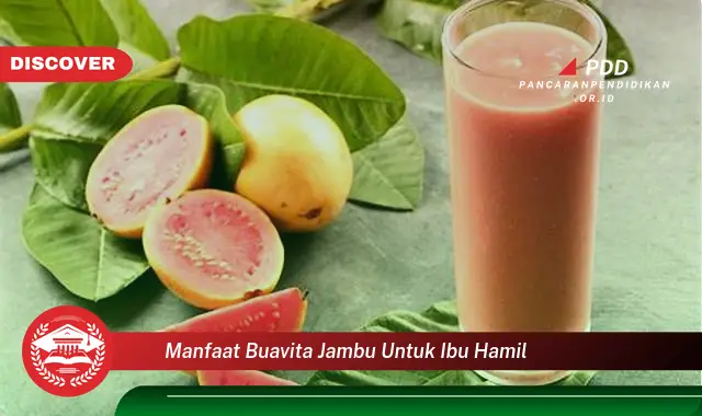 Temukan 10 Manfaat Buavita Jambu untuk Ibu Hamil yang Jarang Diketahui