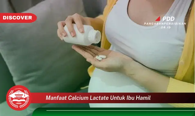 manfaat calcium lactate untuk ibu hamil