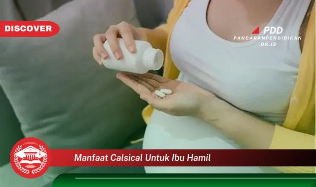 manfaat calsical untuk ibu hamil