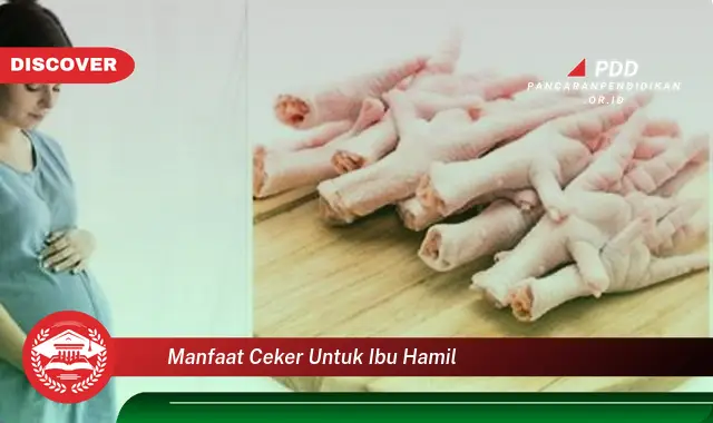 manfaat ceker untuk ibu hamil