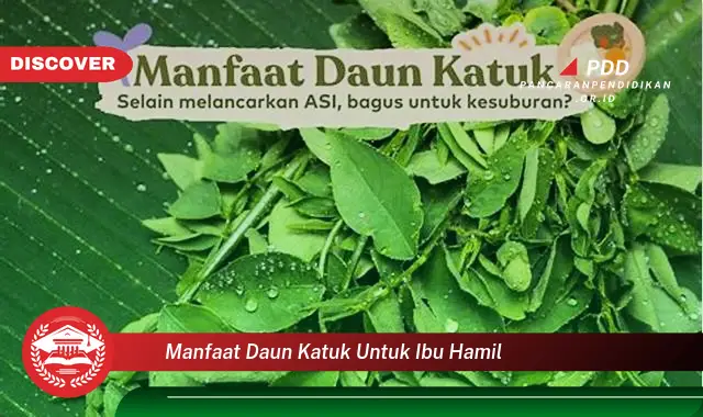 manfaat daun katuk untuk ibu hamil