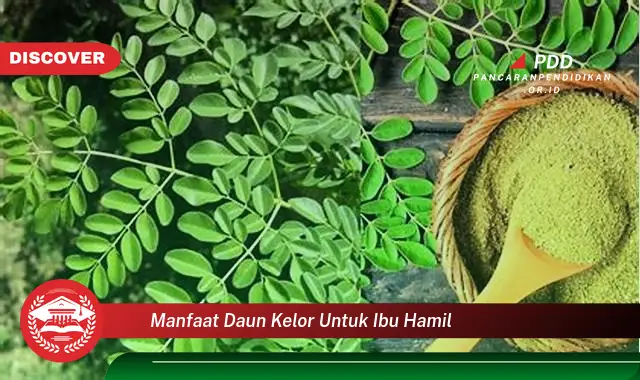 manfaat daun kelor untuk ibu hamil