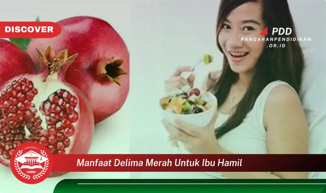 manfaat delima merah untuk ibu hamil