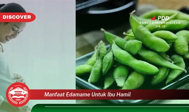 manfaat edamame untuk ibu hamil