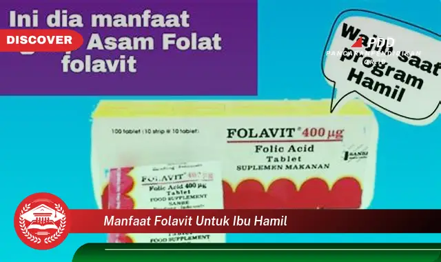 manfaat folavit untuk ibu hamil