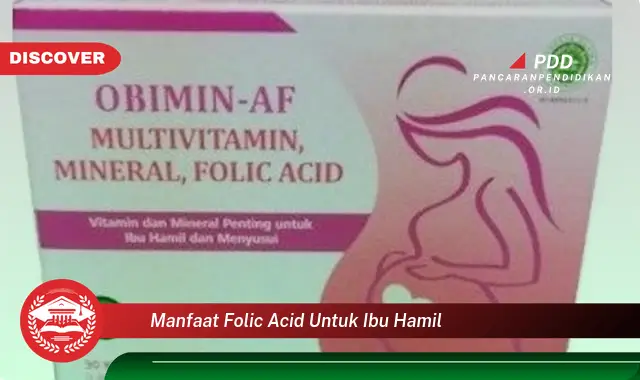 manfaat folic acid untuk ibu hamil