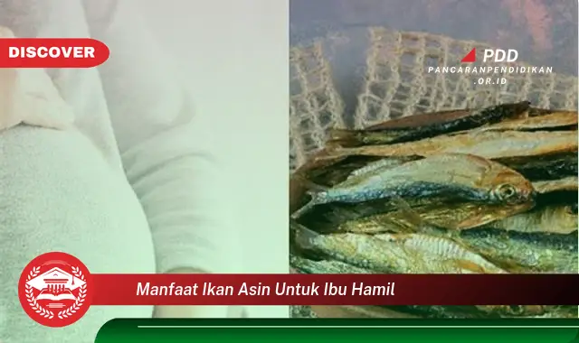 manfaat ikan asin untuk ibu hamil