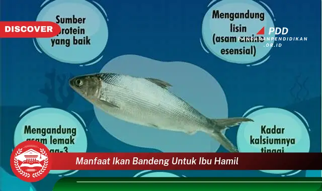 manfaat ikan bandeng untuk ibu hamil