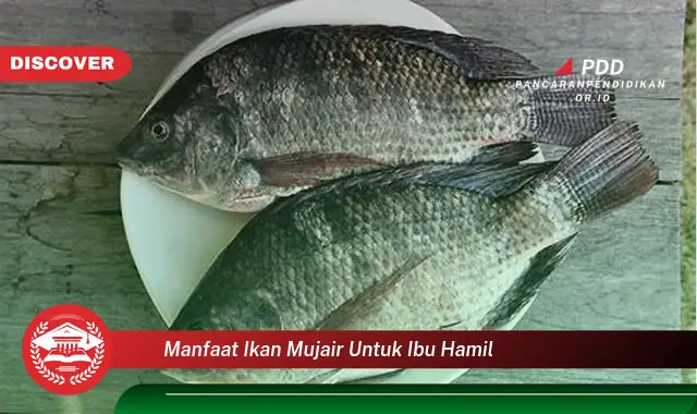 manfaat ikan mujair untuk ibu hamil