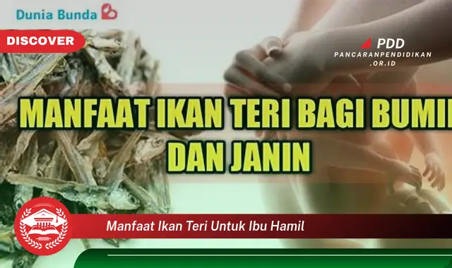 manfaat ikan teri untuk ibu hamil