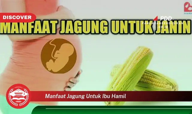 manfaat jagung untuk ibu hamil