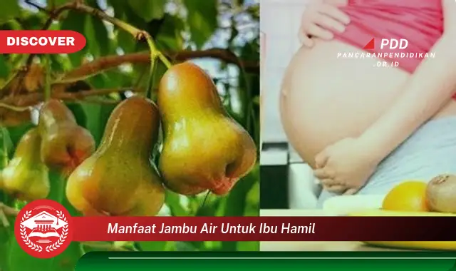 manfaat jambu air untuk ibu hamil