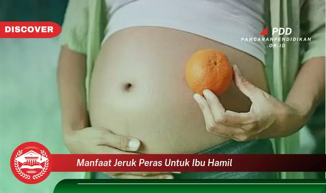 manfaat jeruk peras untuk ibu hamil