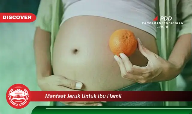 Temukan 10 Manfaat Jeruk untuk Ibu Hamil yang Bikin Kamu Penasaran