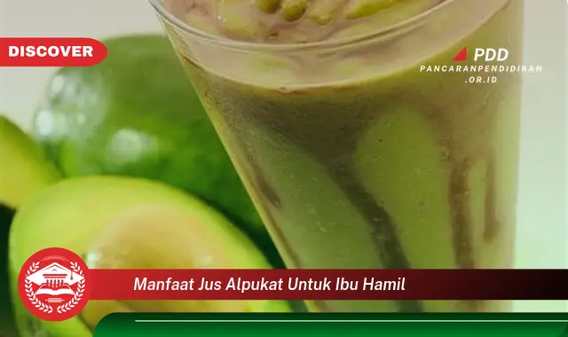 manfaat jus alpukat untuk ibu hamil