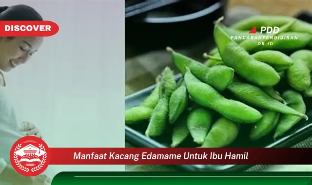 manfaat kacang edamame untuk ibu hamil