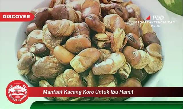 manfaat kacang koro untuk ibu hamil