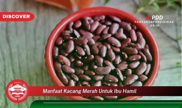 manfaat kacang merah untuk ibu hamil