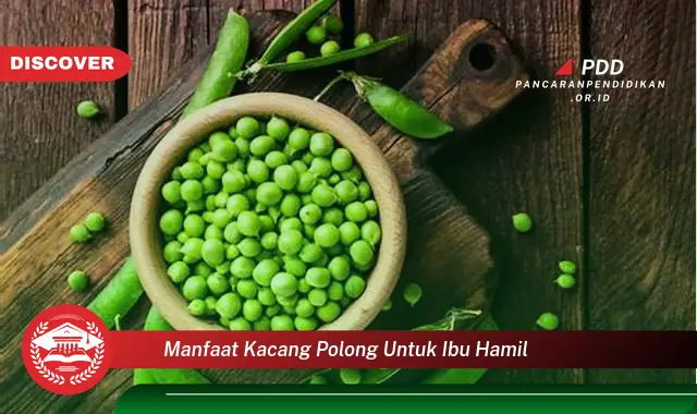 manfaat kacang polong untuk ibu hamil