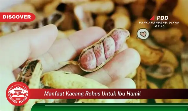 manfaat kacang rebus untuk ibu hamil