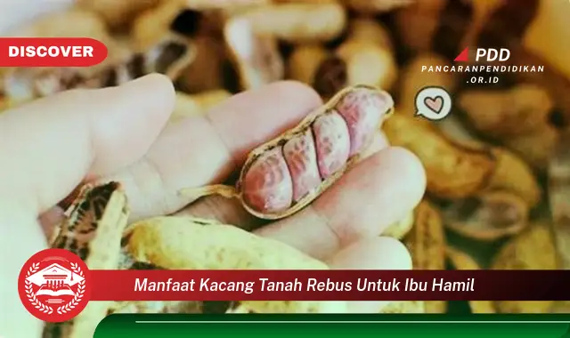 manfaat kacang tanah rebus untuk ibu hamil