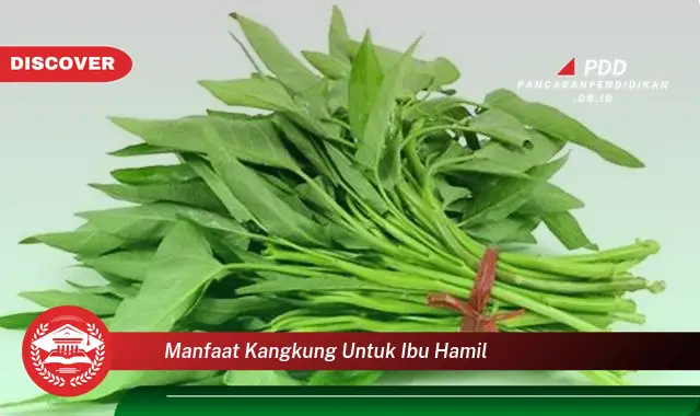 manfaat kangkung untuk ibu hamil