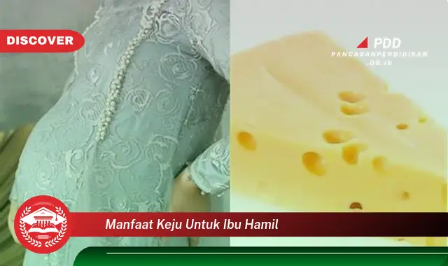 manfaat keju untuk ibu hamil
