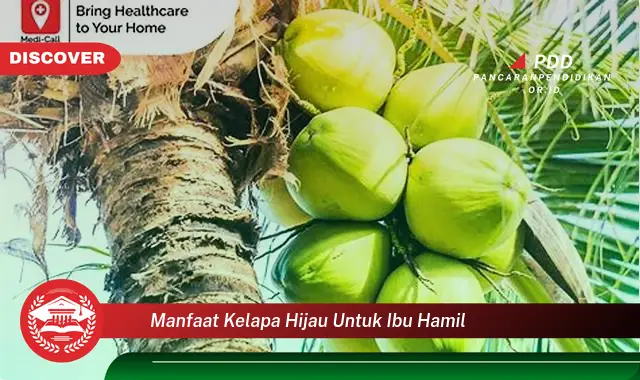 manfaat kelapa hijau untuk ibu hamil