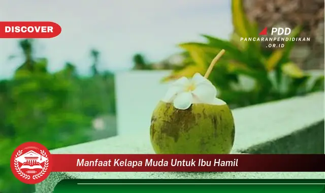 manfaat kelapa muda untuk ibu hamil