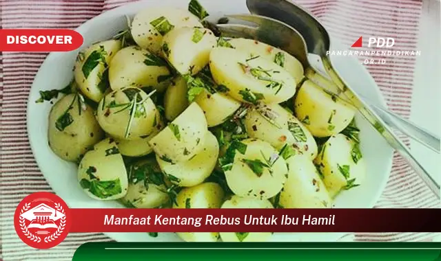 manfaat kentang rebus untuk ibu hamil