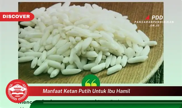 manfaat ketan putih untuk ibu hamil