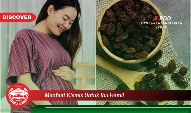 manfaat kismis untuk ibu hamil