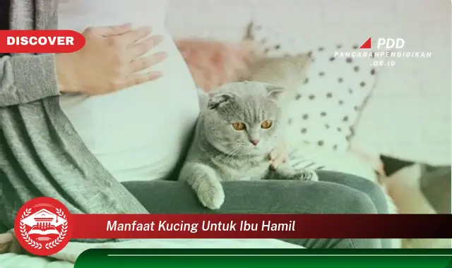 manfaat kucing untuk ibu hamil
