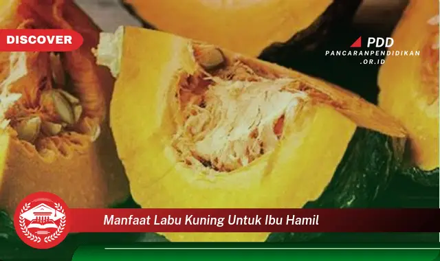 manfaat labu kuning untuk ibu hamil