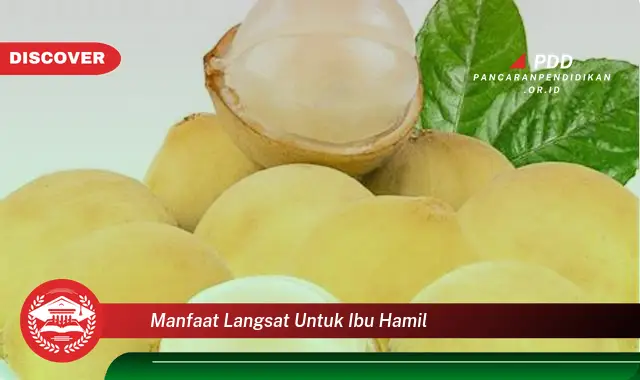 manfaat langsat untuk ibu hamil