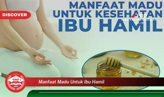 Temukan 10 Manfaat Madu untuk Ibu Hamil yang Jarang Diketahui