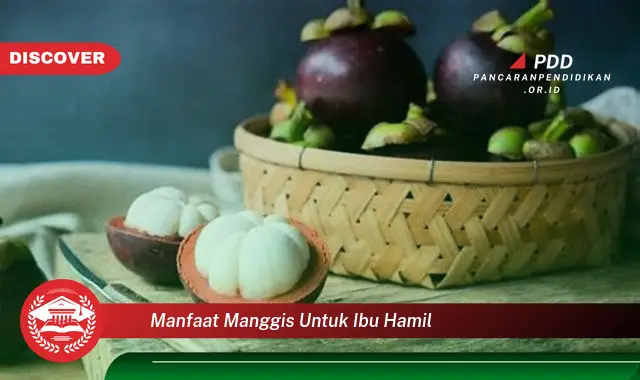 manfaat manggis untuk ibu hamil