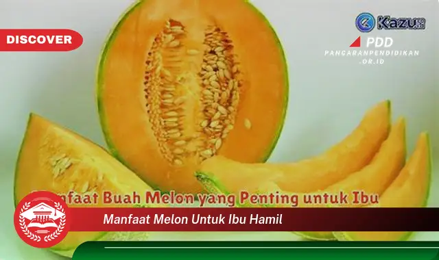 manfaat melon untuk ibu hamil