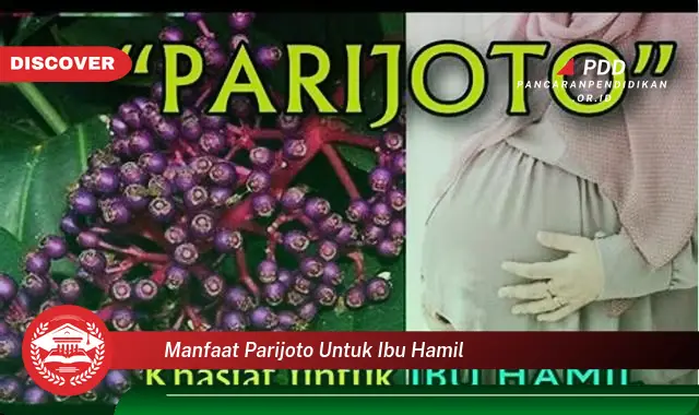 manfaat parijoto untuk ibu hamil