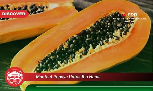 manfaat pepaya untuk ibu hamil