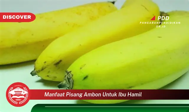 manfaat pisang ambon untuk ibu hamil