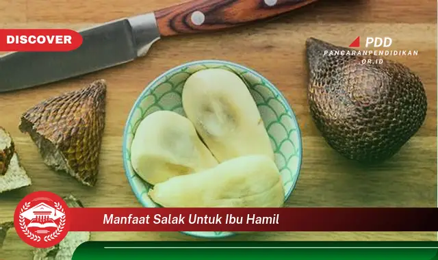 manfaat salak untuk ibu hamil