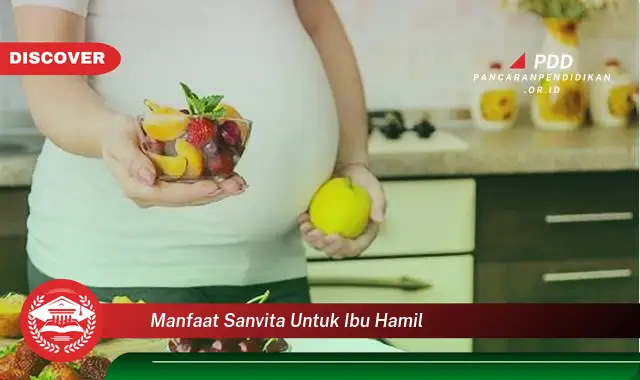 Banyak yang Belum Tau, Ini 30 Manfaat Sanvita untuk Ibu Hamil yang Wajib Diintip