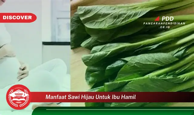 Banyak yang Belum Tau, Ini dia 30 Manfaat Sawi Hijau untuk Ibu Hamil yang Jarang Diketahui