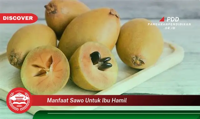 manfaat sawo untuk ibu hamil